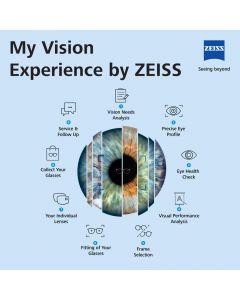 My Vision Experience by ZEISS - Eye